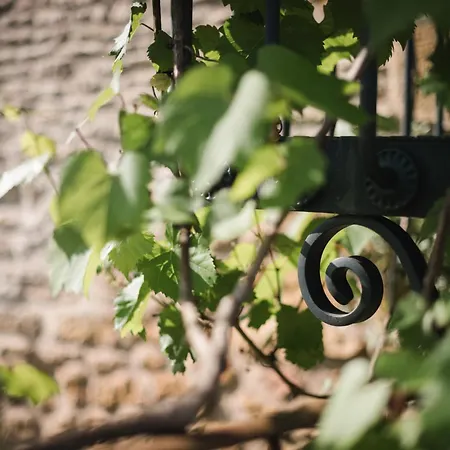 Bed & Breakfast Les Charmes De Vaurizeaud